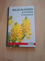 Wilde bloemwn en planten, Ophalen of Verzenden, Bloemen, Planten en Bomen
