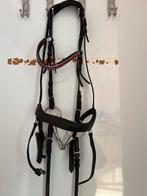 Hoofdstel, Ophalen, Dressuur