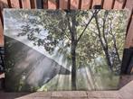 Ikea Canvas schilderij bos met zonnestralen, Huis en Inrichting, Woonaccessoires | Schilderijen, Tekeningen en Foto's, Gebruikt