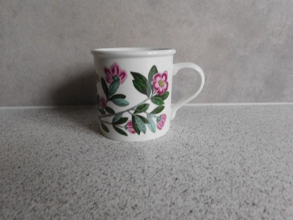 Kopje Rhodondendron Botanic Garden Portmeirion, Ophalen of Verzenden, Zo goed als nieuw, Overige stijlen, Kop(pen) en/of Schotel(s)