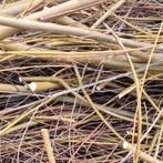 wilgentakken, ongebundeld, Ophalen, Overige soorten, Struik, 250 cm of meer