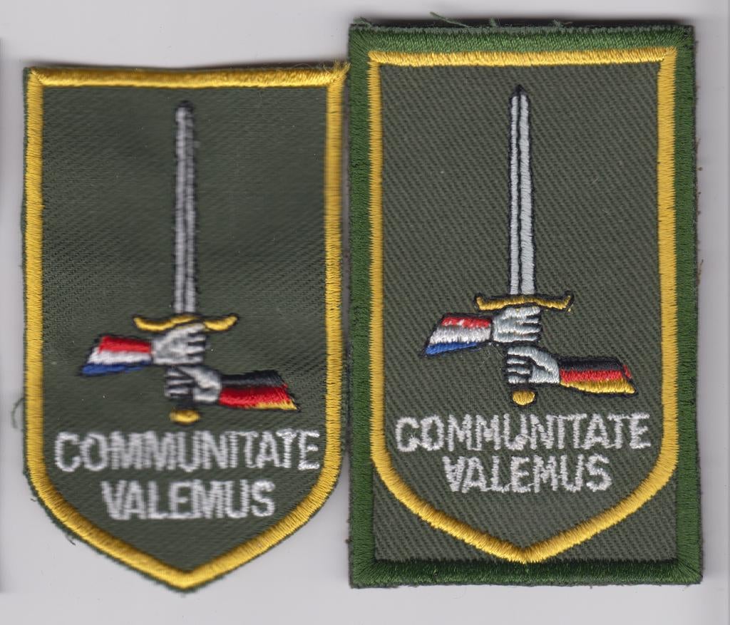 camou en dt mouwemblem D/NL legerkorps, Ophalen of Verzenden, Landmacht, Nederland, Embleem of Badge