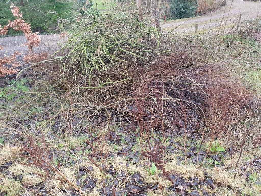 Takken voor brandhout PAASBULT, 6 m³ of meer, Ophalen, Overige houtsoorten, Takken