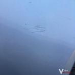 Mercedes W201 1983  Voorscherm Rechtsvoor, Ophalen, Gebruikt, -, -