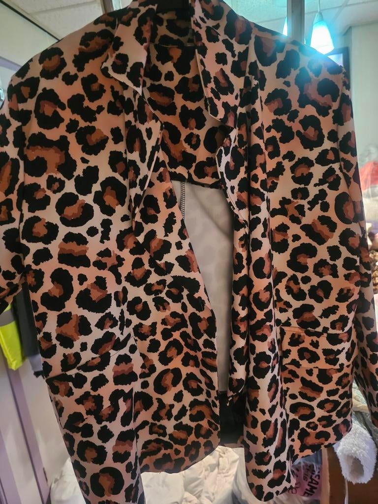 Mooie nieuwe  blazer en gilet maar XL, Kleding | Dames, Jasjes, Kostuums en Pakken, Overige kleuren, Maat 46/48 (XL) of groter