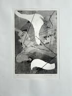 Mooie ets (italiaans), Antiek en Kunst, Kunst | Etsen en Gravures, Origineel, 30 cm, 23 cm, Ophalen of Verzenden