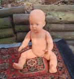 Wildebras Jongen jaren'60, Ophalen of Verzenden, Zo goed als nieuw, Pop