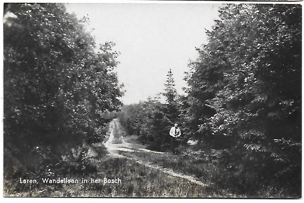 Laren Wandellaan Oude Gelopen Ansichtkaart ( B847 ), Ophalen of Verzenden, 1940 tot 1960, Gelopen, Noord-Holland