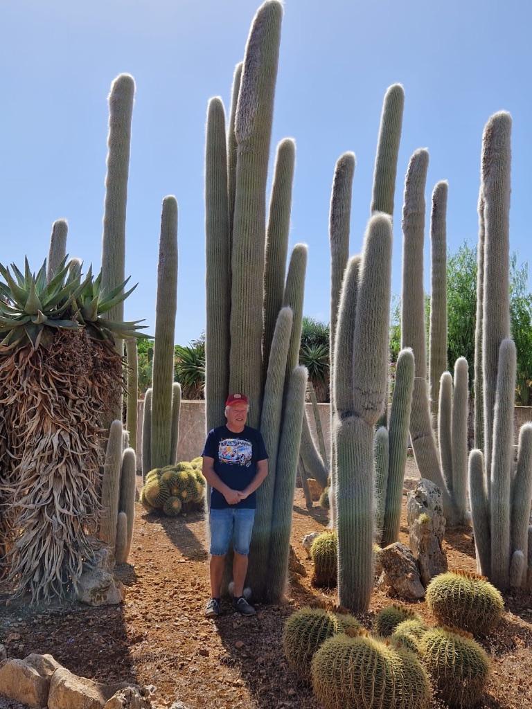 Open dag zaterdag 16 MEI Caudex & 25000m2 cactusplezier, Overige soorten, In pot, Minder dan 100 cm, Halfschaduw