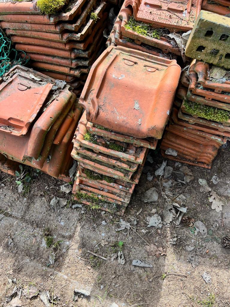 Tuile du nord dakpannen, Ophalen, Steen of Klei, Dakpannen, Rood