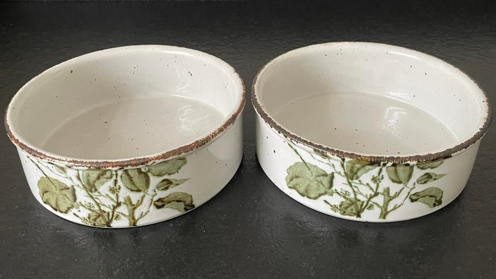 2 X Vintage Wedgwood Greenleaves Midwinter Schaal Schalen, Ophalen of Verzenden, Wedgwood, Aardewerk, Schaal of Schalen
