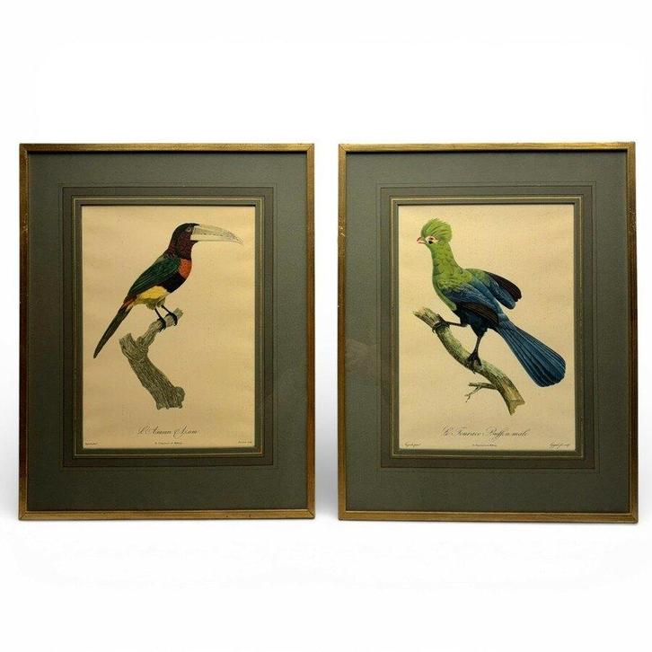 Twee prenten, vogels, Verzamelen, Foto's en Prenten, Zo goed als nieuw, Prent, Dier, 1980 tot heden, Ophalen of Verzenden