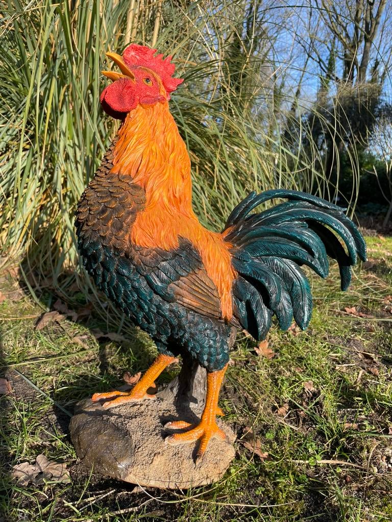 Haan kip beeld tuin terras  boerderij boer, Tuin en Terras, Tuinbeelden, Ophalen of Verzenden, Nieuw