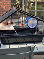Hamster kooi (of voor een muis), Kooi, Minder dan 75 cm, Zo goed als nieuw, Muis