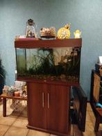 Juwel aquarium + kast, Dieren en Toebehoren, Vissen | Aquaria en Toebehoren, Ophalen, Zo goed als nieuw, Leeg aquarium