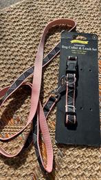 Honden riem, Ophalen of Verzenden, Nieuw