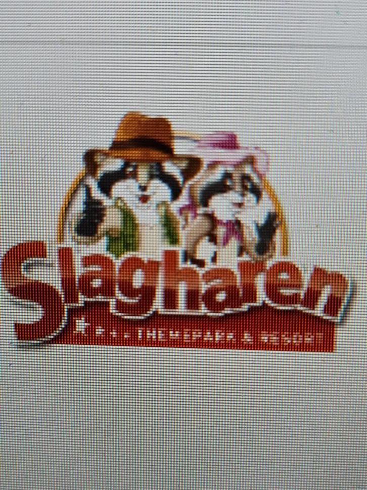 Slagharen attractiepark e-tickets, meerdere aanwezig, Tickets en Kaartjes, Recreatie | Pretparken en Attractieparken, Drie personen of meer