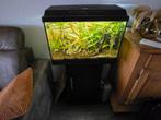 Mooie aquarium met meubel compleet, Dieren en Toebehoren, Ophalen of Verzenden, Zo goed als nieuw, Leeg aquarium