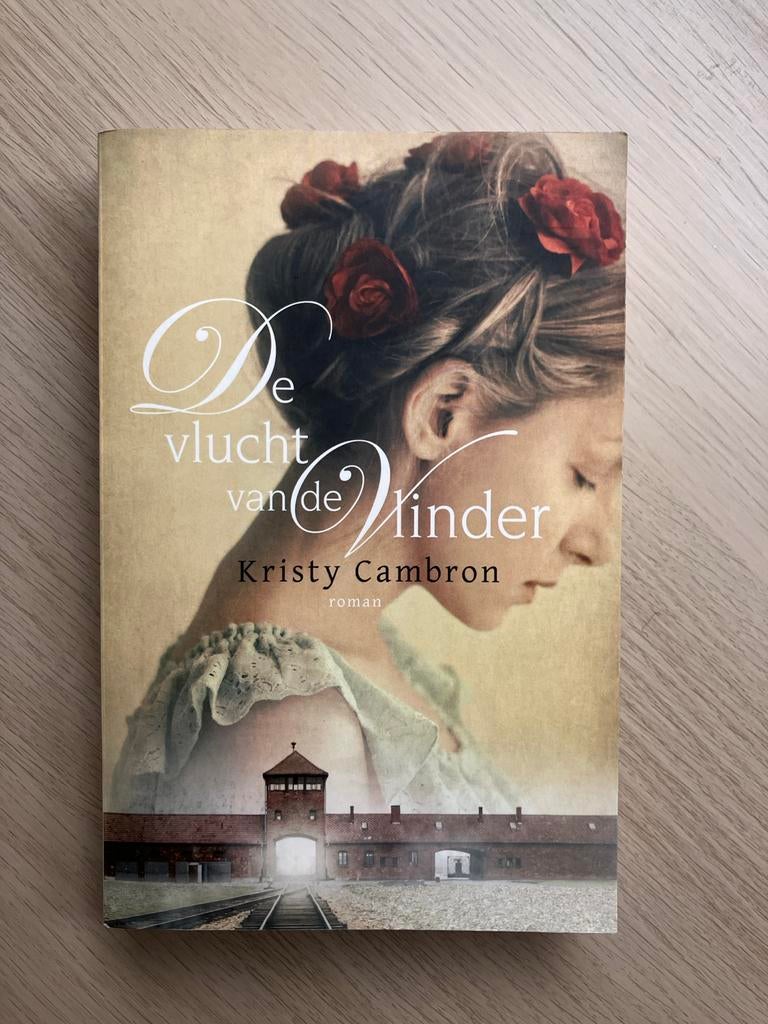 De vlucht van de vlinder - Kristy Cambron, Ophalen of Verzenden, Gelezen, Nederland