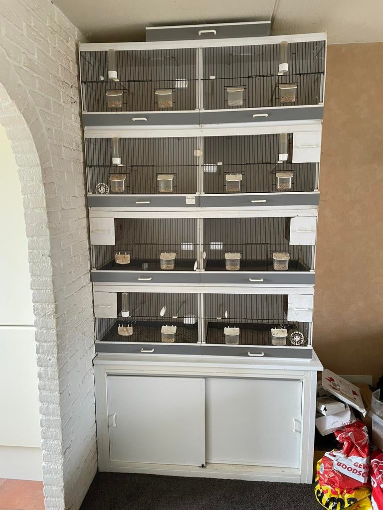 Te koop vier bakker broedkooien met onderkast, Ophalen, Gebruikt, Kunststof, Broedkooi of Kweekkooi