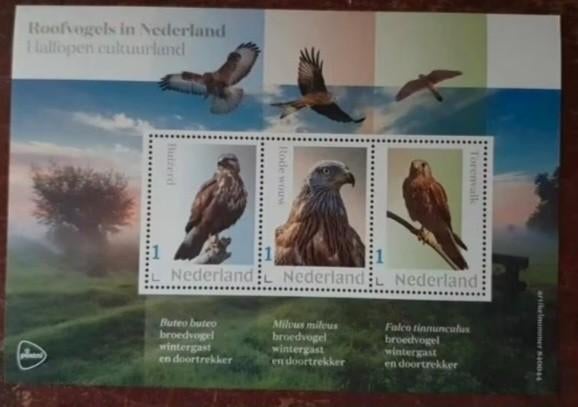 Roofvogels in Nederland. Postzegelvel., Ophalen of Verzenden