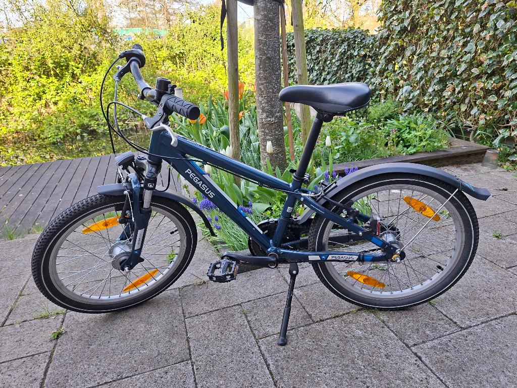 Pegasus Avanti Kids 3 (20 inch), Ophalen, Gebruikt, Versnellingen, Pegasus