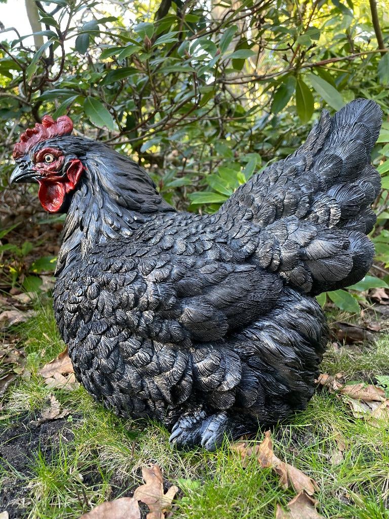 Beeld kip, tuin, vijver, gazon, boerderij 40cm, Ophalen, Nieuw, Kunststof, Dierenbeeld