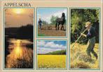 Q2516 Gelopen ansichtkaart appelscha, Verzenden, 1980 tot heden, Gelopen