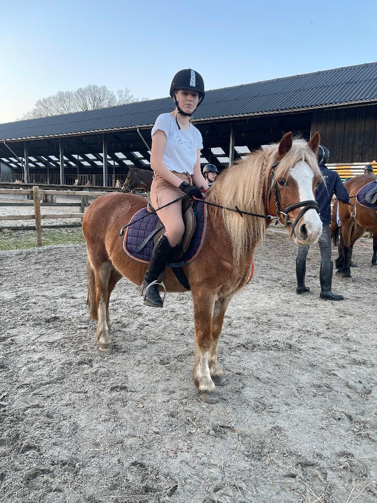 Verzorgpony/leasepony gezocht!, Ophalen of Verzenden