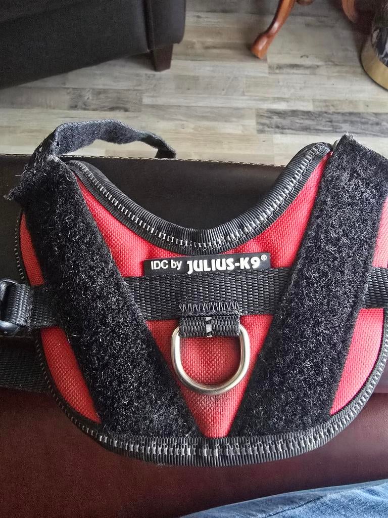 Julius-K9 hondenriem, Dieren en Toebehoren, Honden-accessoires, Ophalen of Verzenden, Gebruikt
