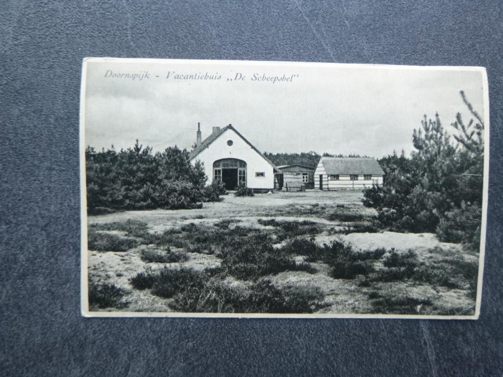 Doornspijk, vac. huis de Scheepsbel 1952, Verzenden, 1940 tot 1960, Gelopen, Noord-Brabant