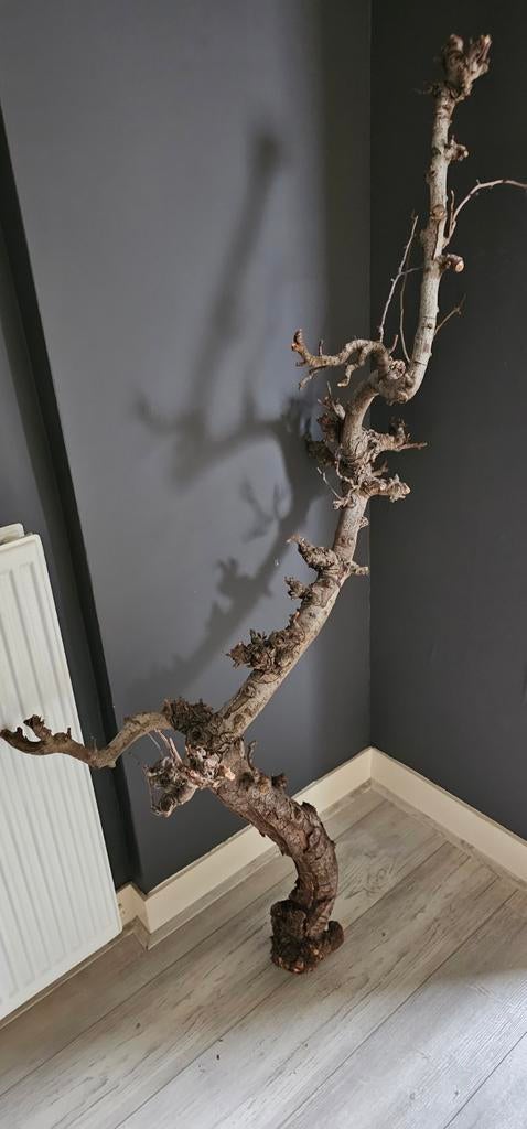 Grote Perenstam, Huis en Inrichting, Woonaccessoires | Kunstplanten en Kunstbloemen, Ophalen