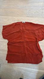 Top drykorn mt 40, Ophalen of Verzenden, Zo goed als nieuw, Maat 38/40 (M), Korte mouw