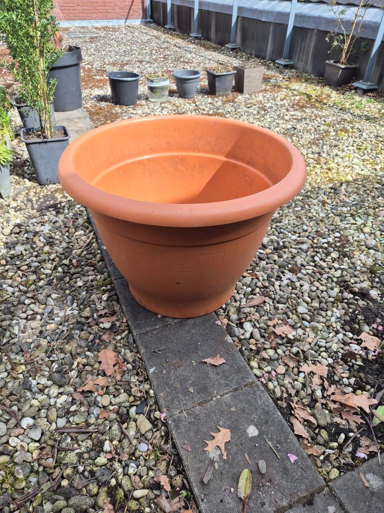 Potten en planten en waterlelie te koop, Tuin en Terras, Bloempotten, Ophalen of Verzenden, Rond, Aardewerk, Minder dan 25 cm