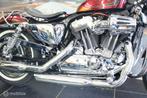 Harley Davidson XL 1200V Seventy-Two, Chopper, Bedrijf, 1202 cc, Meer dan 35 kW