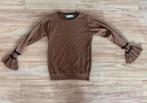 Bruin glitter trui van het merk Ambika - maat s, Ophalen of Verzenden, Zo goed als nieuw
