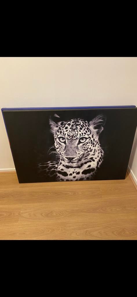 Canvas schilderij Jachtluipaard, Ophalen, 100 tot 125 cm, Schilderij, 75 cm of meer