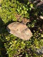 Gratis grote keien, Tuin en Terras, Ophalen, Graniet, Beige, Zo goed als nieuw