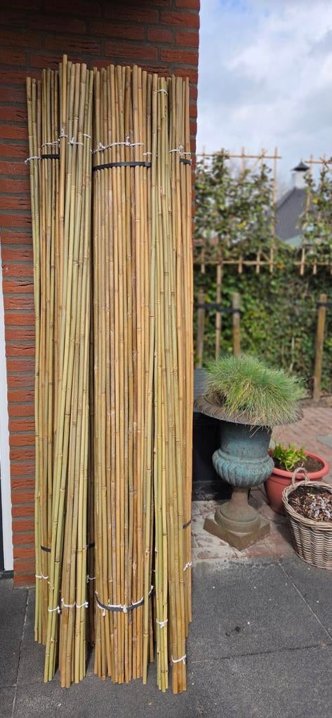 Partij nieuwe Bamboestokken 2m15, 200 cm of meer, Minder dan 100 cm, Nieuw, Ophalen of Verzenden