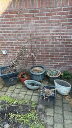 Diverse bloempotten en plantenbakken gratis af te halen, Ophalen, Kunststof, Gebruikt, Minder dan 60 cm
