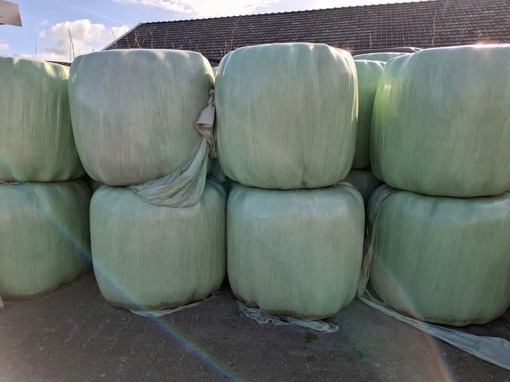 Voordroog handzame midi hooi balen, perfect voor paarden, Dieren en Toebehoren, Dierenvoeding, Ophalen, Vee