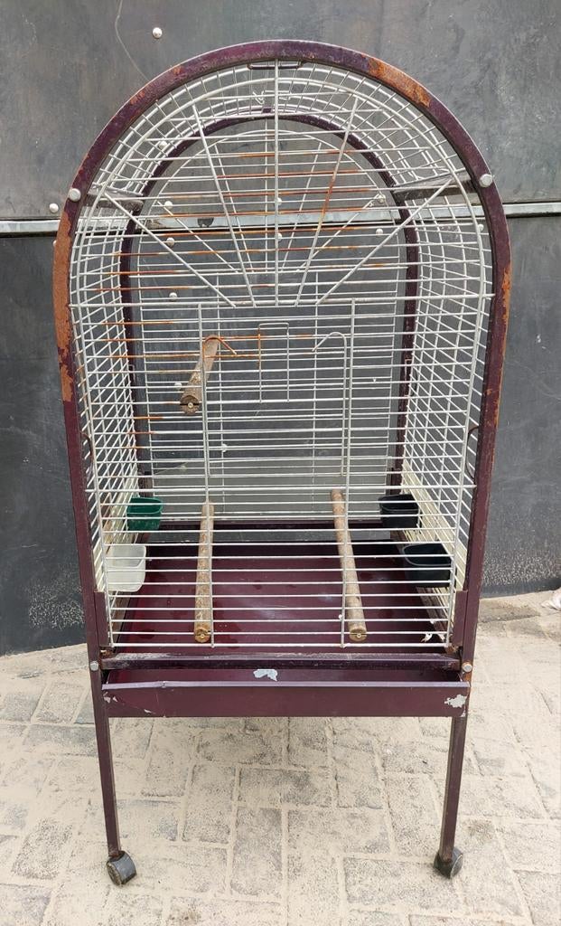 Papegaaienkooi, Ophalen, Gebruikt, Metaal, Vogelkooi