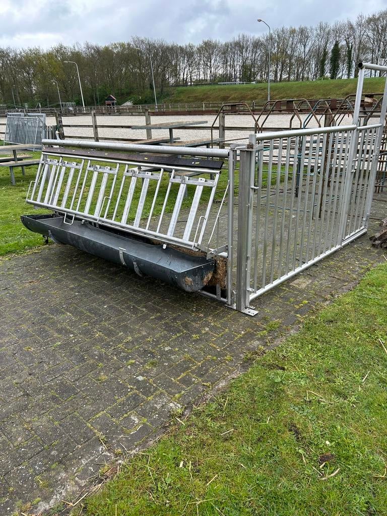 Multifunctionele  geiten kalver ponys alpacas en noem maarop, Vrouwelijk, Geit