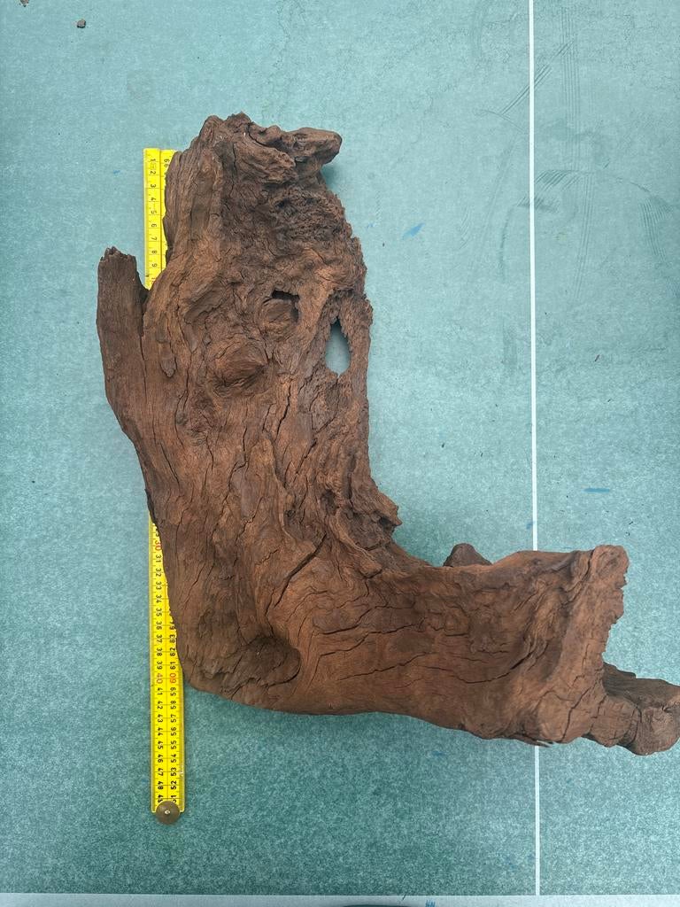 Groot stuk driftwood, aquascape, aquarium, Dieren en Toebehoren, Vissen | Aquaria en Toebehoren, Ophalen, Plant(en), Steen of Hout