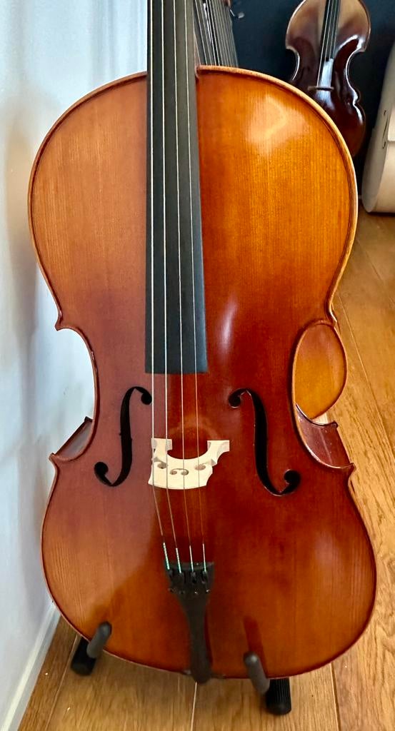 Uitverkoop prachtig studie cello 4/4, Ophalen of Verzenden, Zo goed als nieuw