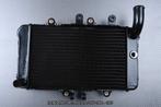 Radiateur AVDB voor HONDA NTV 600 650 REVERE 1988 - 1997, Ophalen of Verzenden, Nieuw
