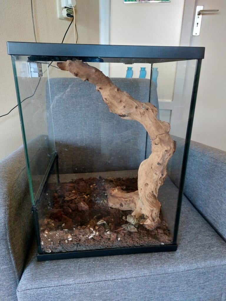 Terrarium en OSB - vidaxl - 50x50x100 cm - Marron - Thermomètre intégré
