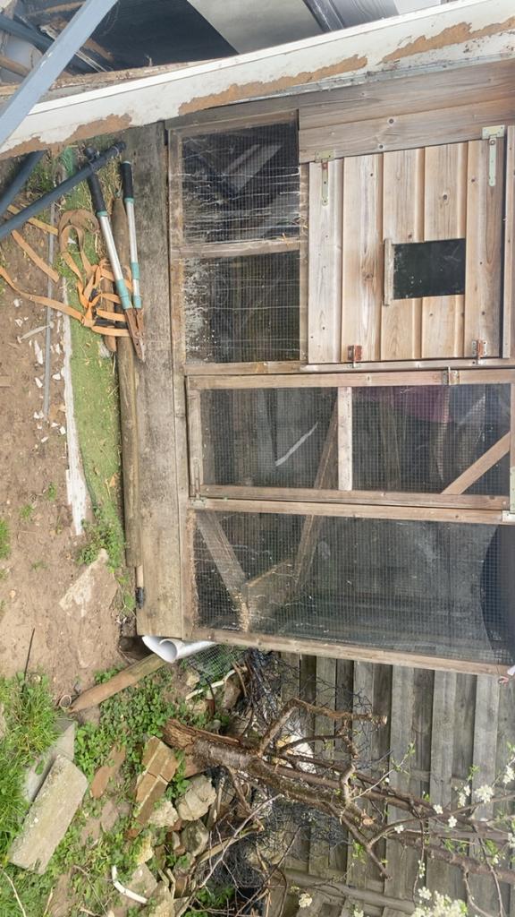 Konijnen hok, Ophalen, 110 cm of meer, 90 cm of meer, Konijn