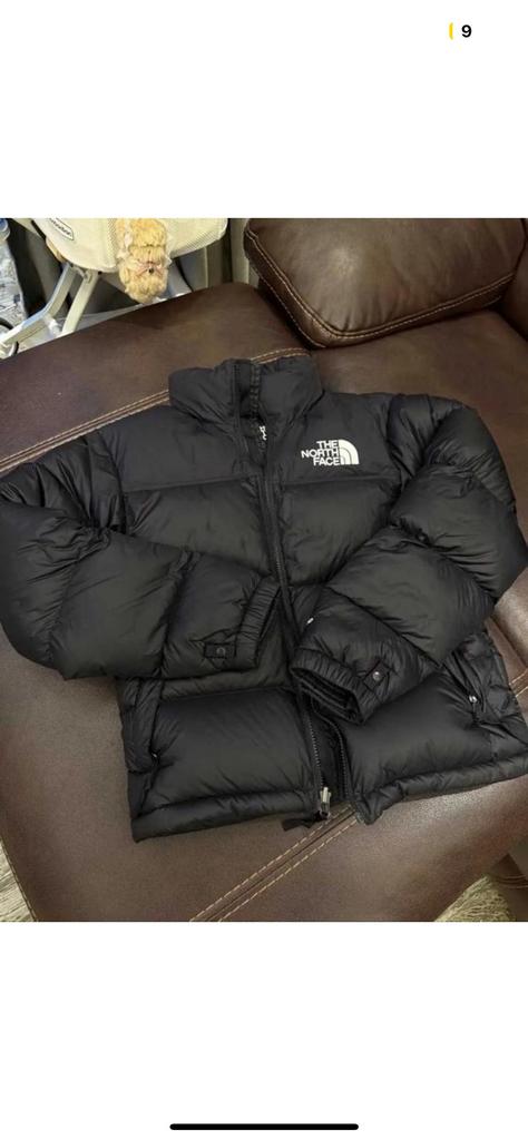 North face jas 700, Kleding | Heren, Jassen | Winter, Ophalen of Verzenden, Zo goed als nieuw, Zwart