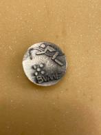 speldje paarden sport BVMF, Ophalen of Verzenden, Zo goed als nieuw, Overige onderwerpen